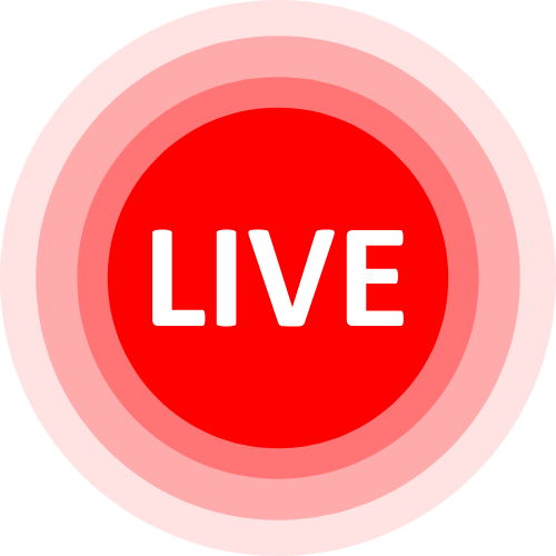 Online Adult Cams